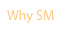 Why SM